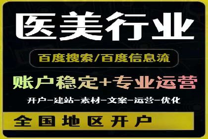 百度SEO推广案例：实战解析与优化建议